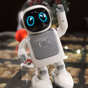 Dancing Robert: Interactive Companion Robot