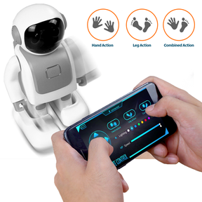 Dancing Robert: Interactive Companion Robot