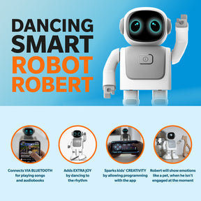 Dancing Robert: Interactive Companion Robot